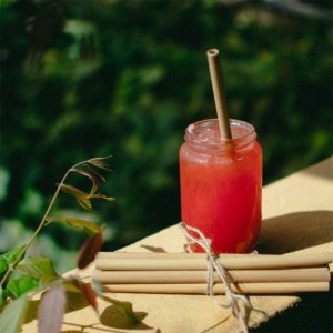 BAMBOO STRAWS TRAVEL KIT