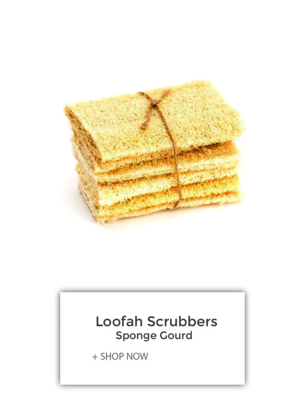 Loofah_Scrub-02